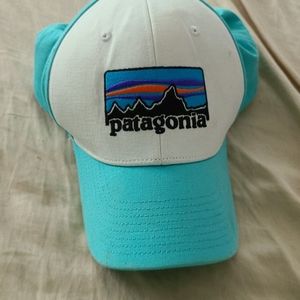 Patagonia trucker hat